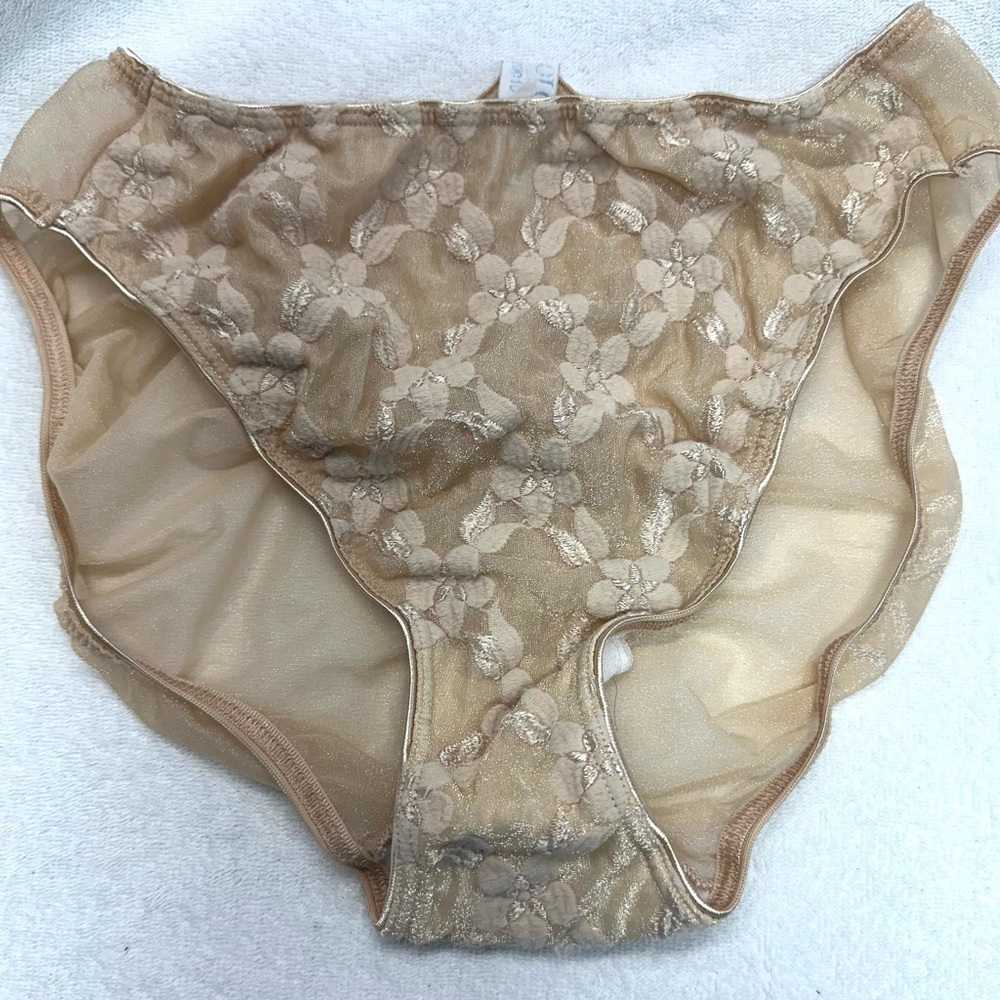 Rare Vintage OLGA Sheer SATIN Flowers Nylon Stretch PANTIES Floral Brief ~L